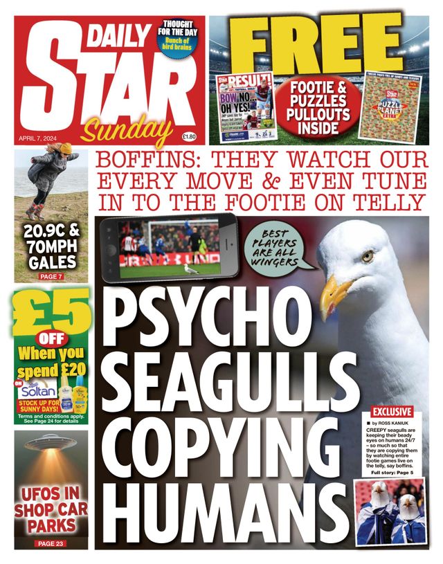 Daily Star Sunday
