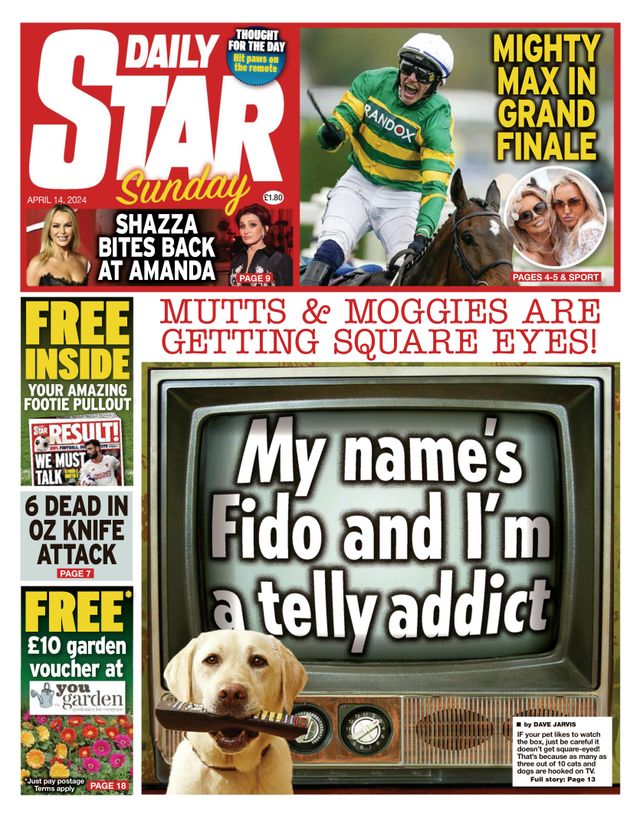 Daily Star Sunday