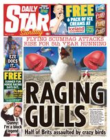 Daily Star Sunday