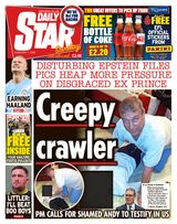 Daily Star Sunday
