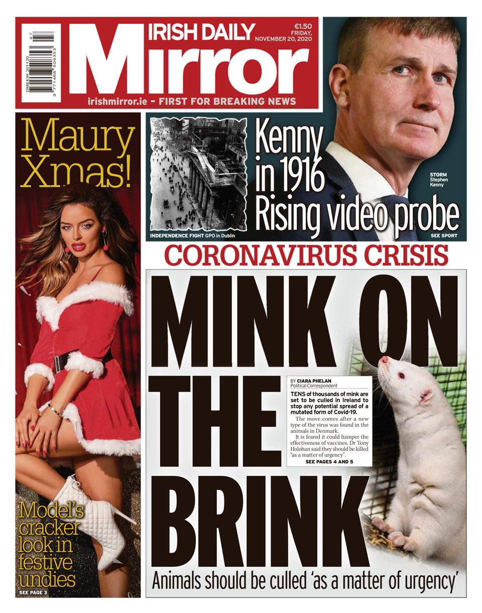 Irish Daily MirrorNovember 20, 2020 Newspaper