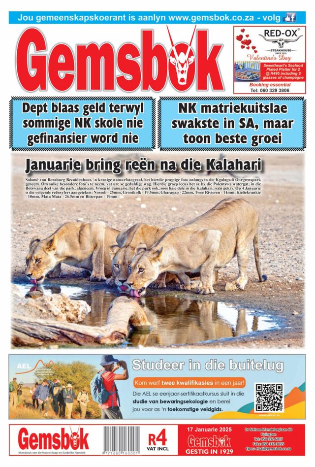 Gemsbok