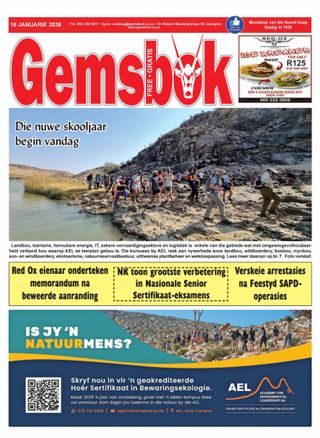 Gemsbok
