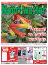 Noordwester