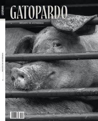 Gatopardo
