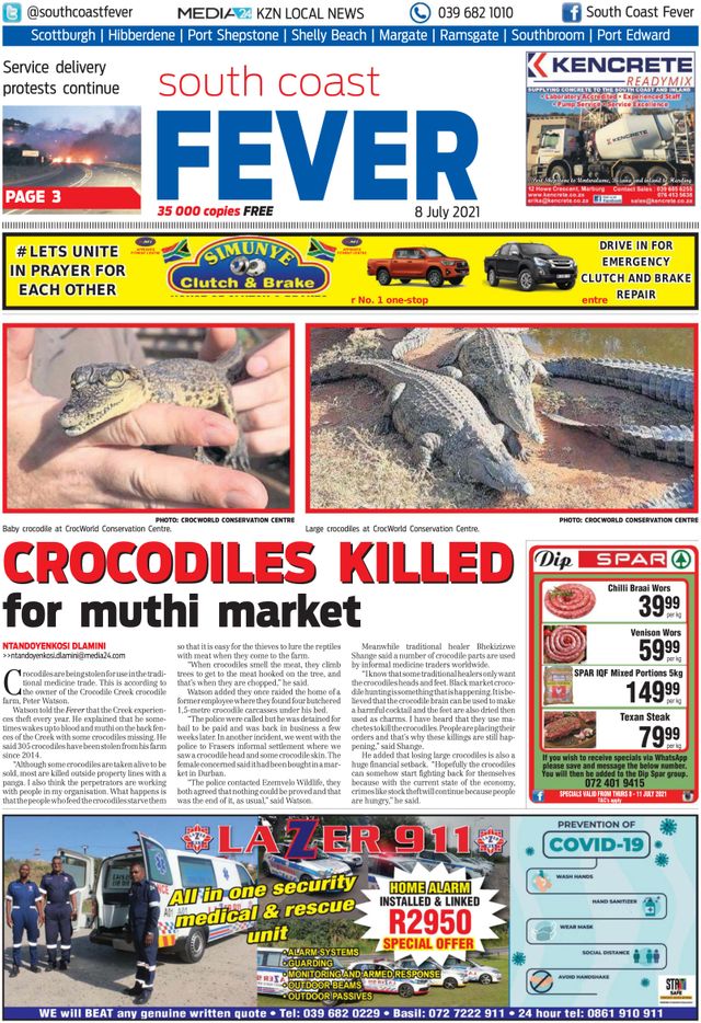 Vuélvete ilimitado con Magzter GOLD