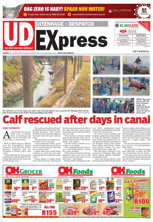 Vuélvete ilimitado con Magzter GOLD