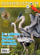 Faunetastique