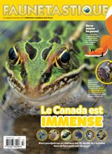 Faunetastique