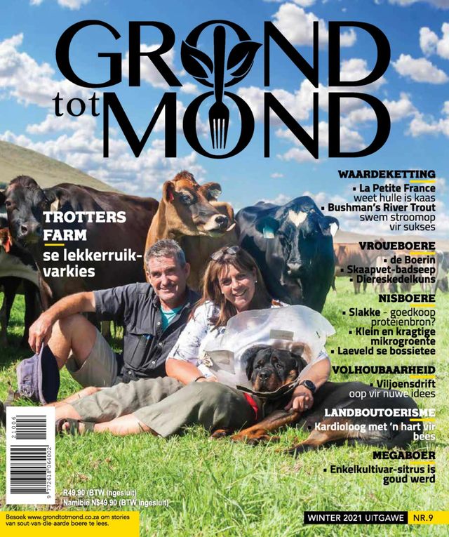 Grond tot Mond
