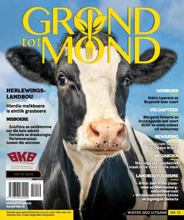 Grond tot Mond