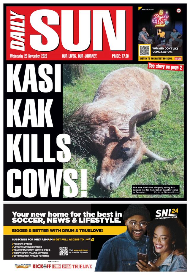 Daily Sun