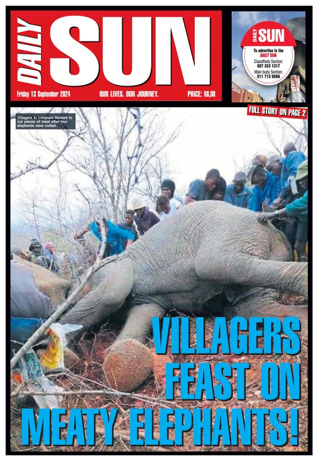 Daily Sun