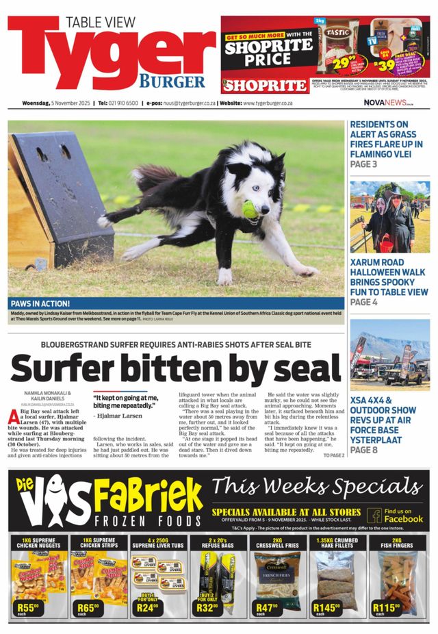 Magzter GOLDで無制限に