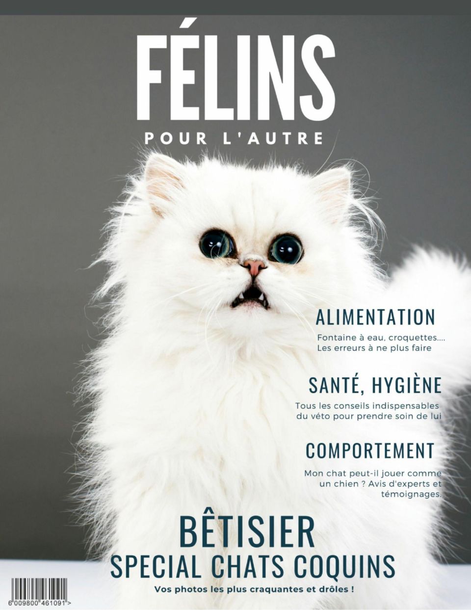 Felins Pour L Autre Magazine Get Your Digital Subscription
