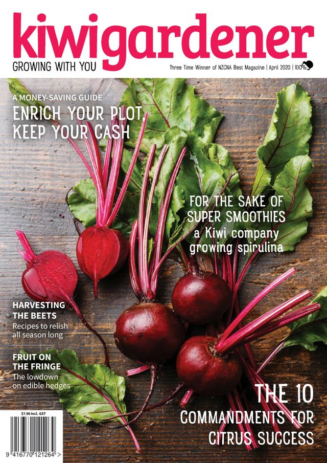 Kiwi Gardener