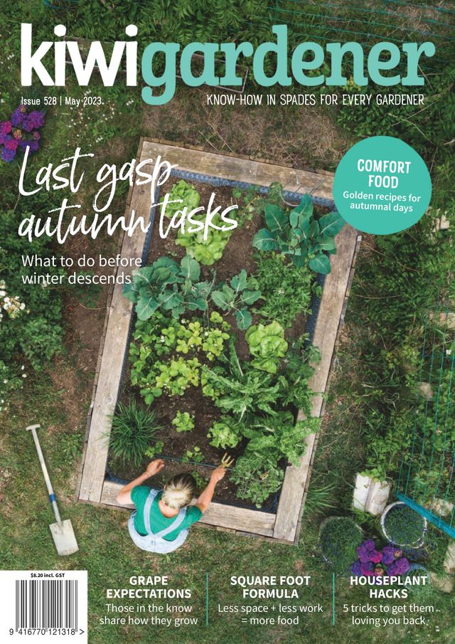 Kiwi Gardener