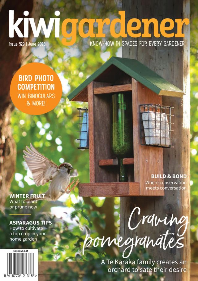 Go Unlimited with Magzter GOLD