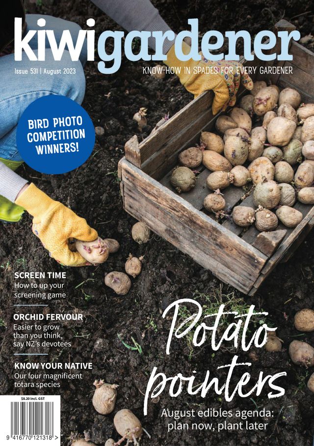 Kiwi Gardener
