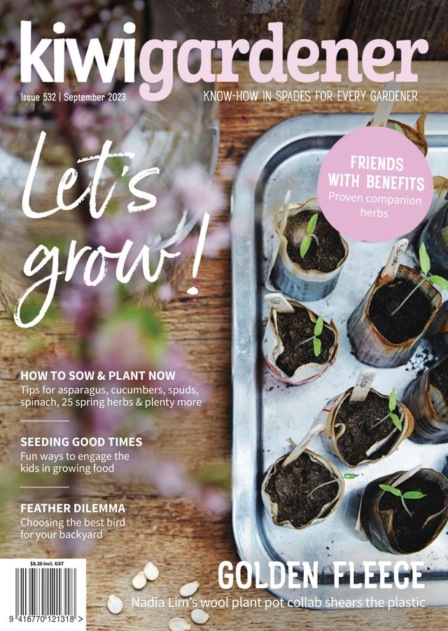 Go Unlimited with Magzter GOLD