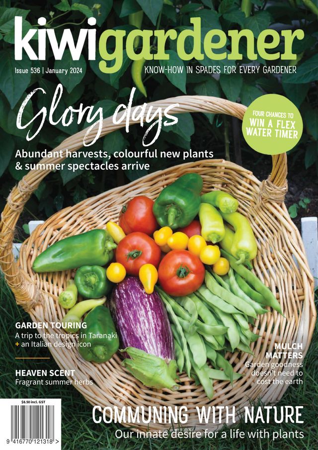 Kiwi Gardener