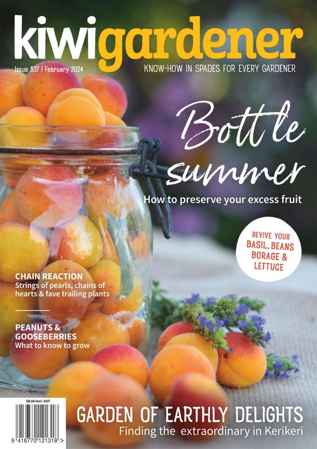 Kiwi Gardener