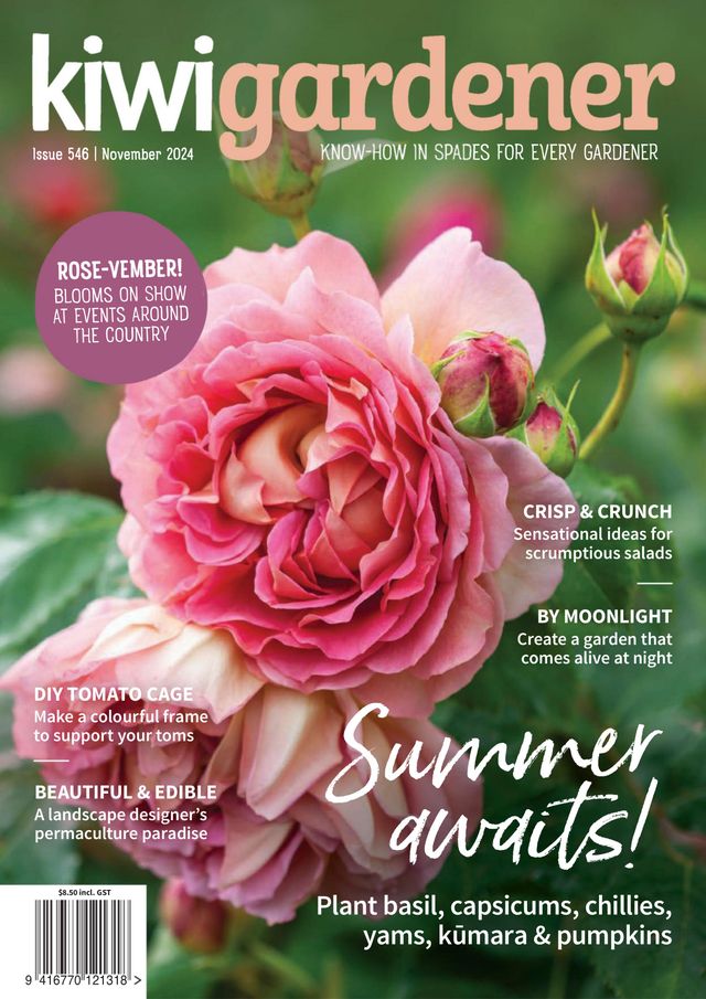 Kiwi Gardener
