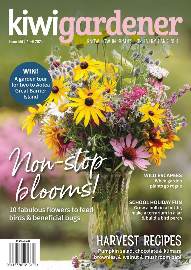 Kiwi Gardener