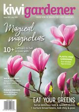 Kiwi Gardener