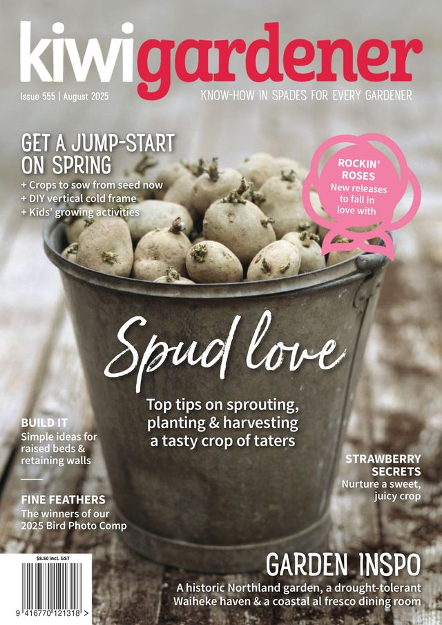 Kiwi Gardener