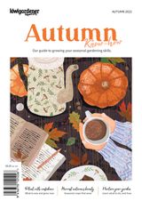 Autumn 2022