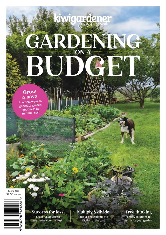Kiwi Gardener Quarterly