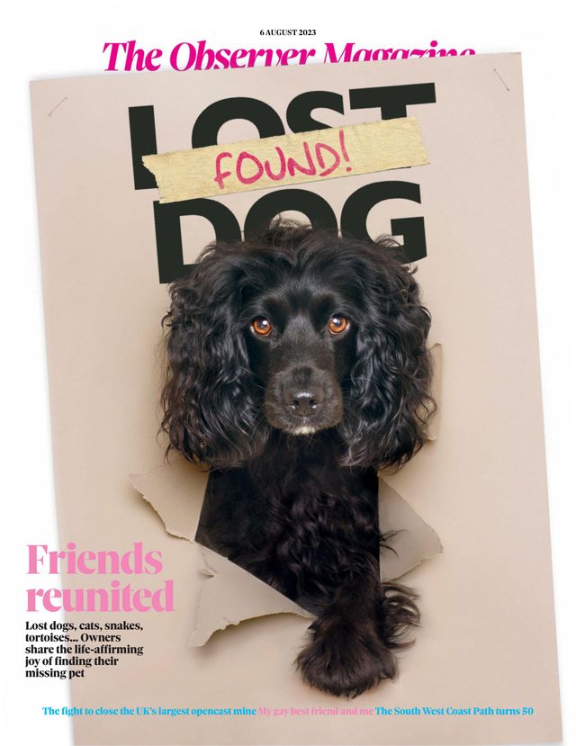 Observer Magazine