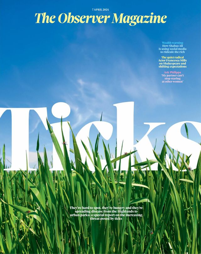Observer Magazine