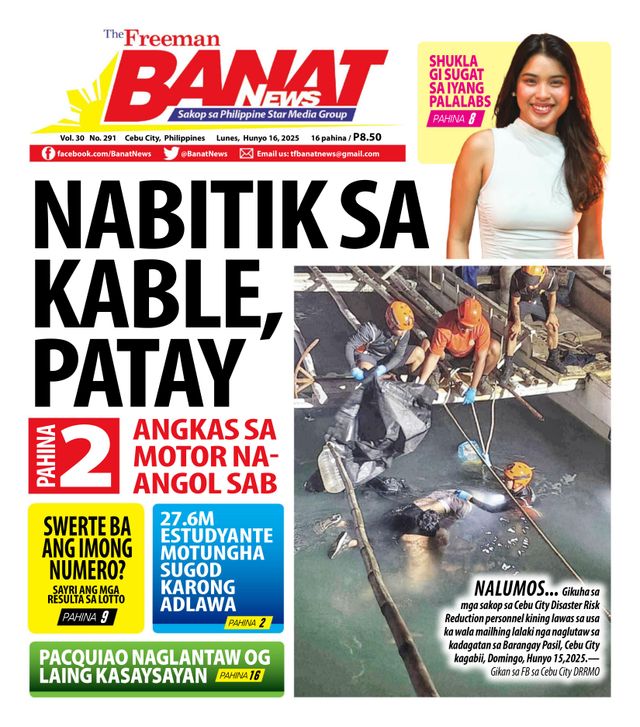 Banat News