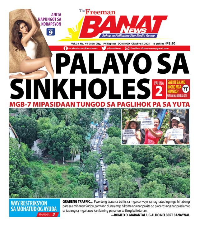 Banat News