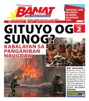 Banat News