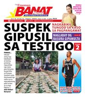 Banat News