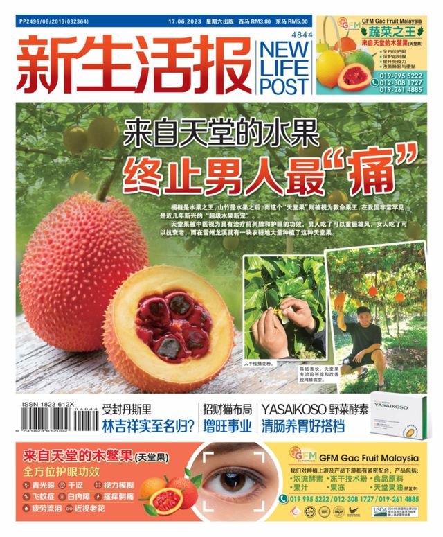 New Life Post (新生活报 )