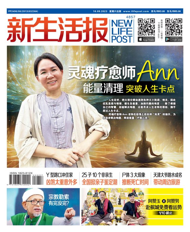 New Life Post (新生活报 )
