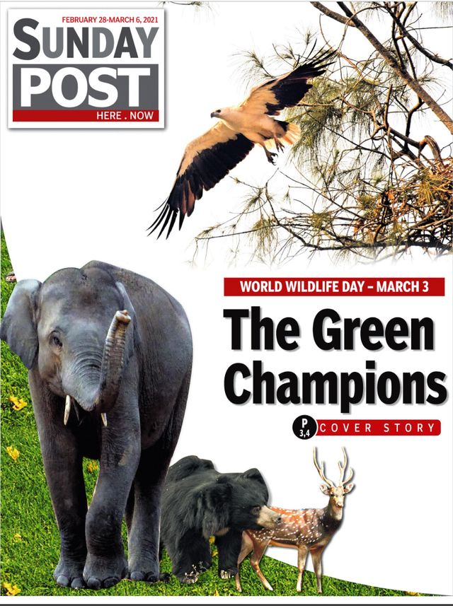 Go Unlimited with Magzter GOLD