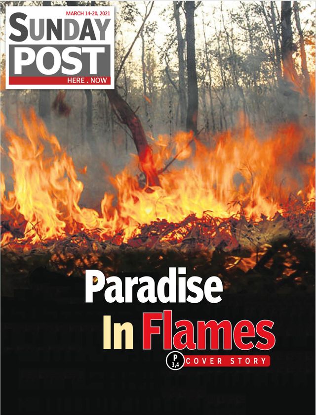 Go Unlimited with Magzter GOLD