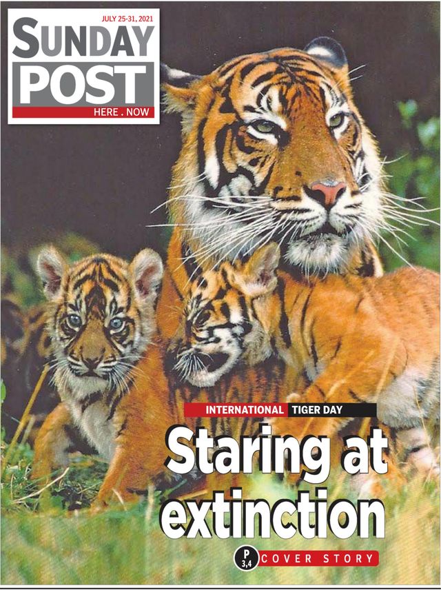 Go Unlimited with Magzter GOLD