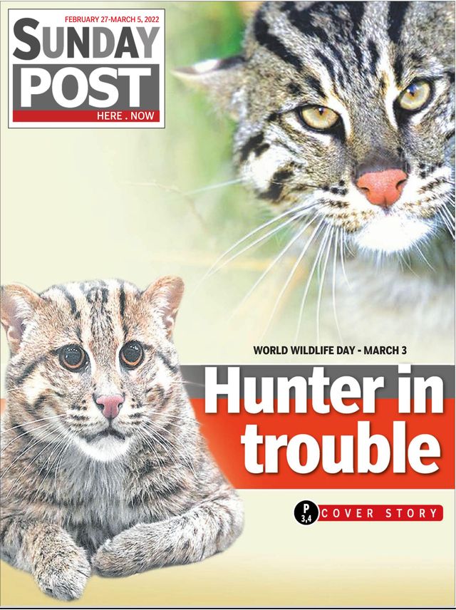 Go Unlimited with Magzter GOLD