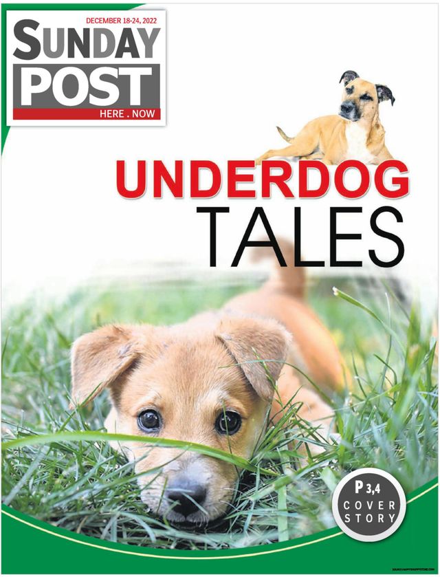 Gå ubegrenset med Magzter GOLD