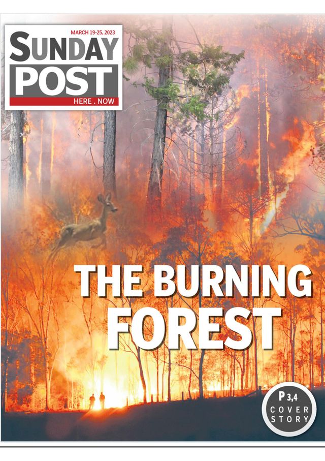 Gå ubegrenset med Magzter GOLD