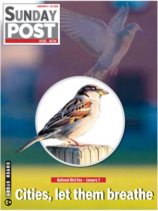 Sunday POST