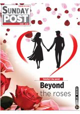 February 08, 2026
