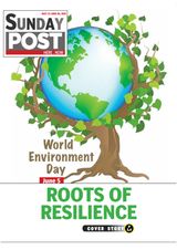 Sunday POST