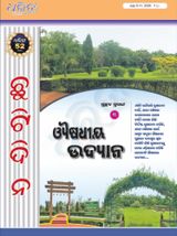 Dharitri Chutidina